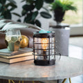 Coastal Edison Bulb Illumination Warmer V1049-EBCOS