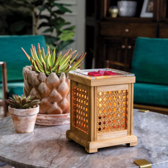 Wood & Cane Vintage Bulb Illumination Warmer V1049-EBWAC