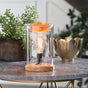 Wood & Glass Vintage Bulb Illumination Warmer V1049-EBWDG