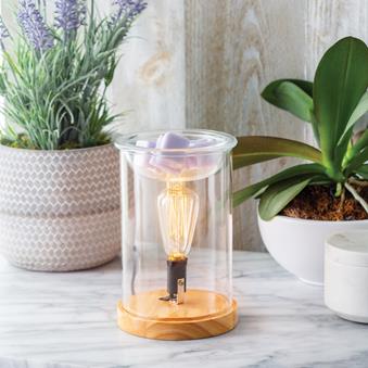 Wood & Glass Vintage Bulb Illumination Warmer V1049-EBWDG