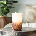Tiger Shell Glass Illumination Warmer V1049-GMTGS