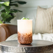Tiger Shell Glass Illumination Warmer V1049-GMTGS