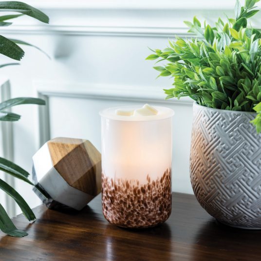 Tiger Shell Glass Illumination Warmer V1049-GMTGS