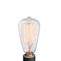 NP3 Bulb Edison V1049-NP3
