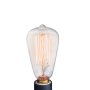 NP3 Bulb Edison V1049-NP3
