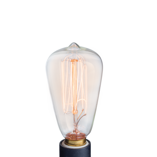 NP3 Bulb Edison V1049-NP3
