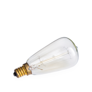 NP3 Bulb Edison V1049-NP3