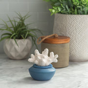 Coral Porcelain Passive Diffuser V1049-PDCOR