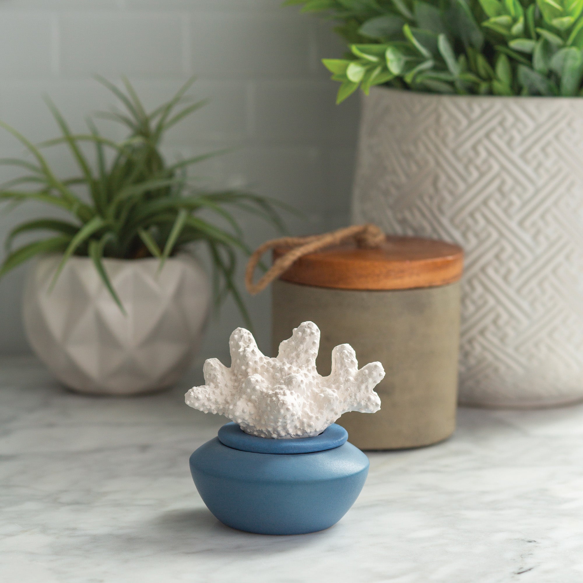 Coral Porcelain Passive Diffuser V1049-PDCOR