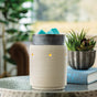 Iron and Clay Illumination Warmer V1049-RWCLY