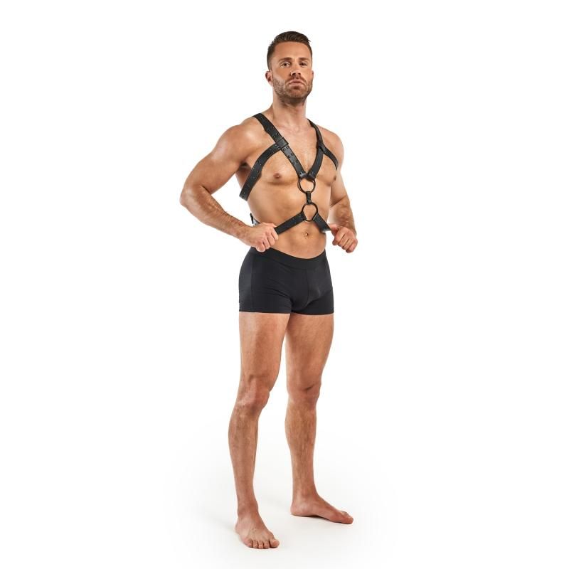 Bedroom Fantasies Rocco Bondage Harness Black V1055-7PC45890100827