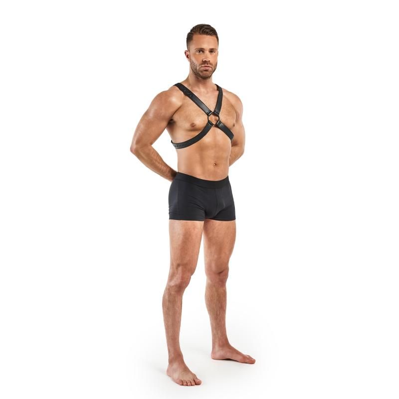 Bedroom Fantasies Lionel Bondage Harness Black V1055-7ZT45891100180