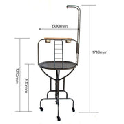 Samland THE GRAFFICO PLAY TOP STAND FOR BIRD PARROT CAGE MATE V1060-85812