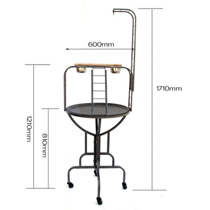 Samland THE GRAFFICO PLAY TOP STAND FOR BIRD PARROT CAGE MATE V1060-85812