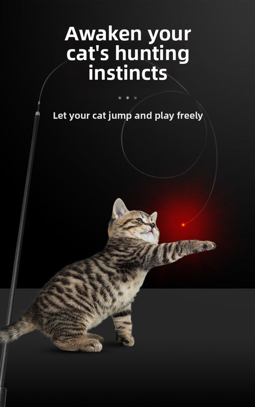 pet products Interactive LED telescopic pole cat teaser stick V1091-20250322