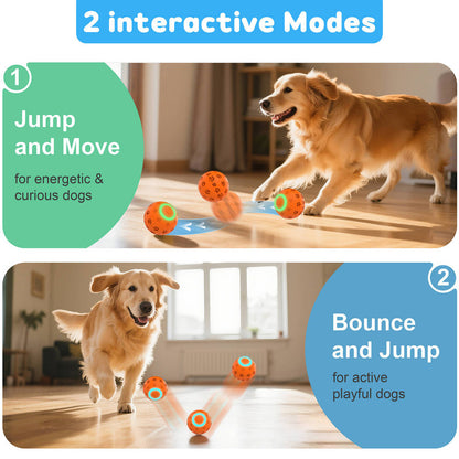 pet products Electric bouncing ball for grinding teeth and teasing pets V1091-20250723