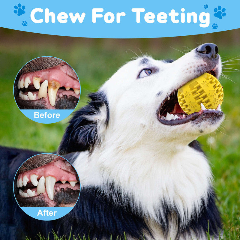pet products Electric bouncing ball for grinding teeth and teasing pets V1091-20250724