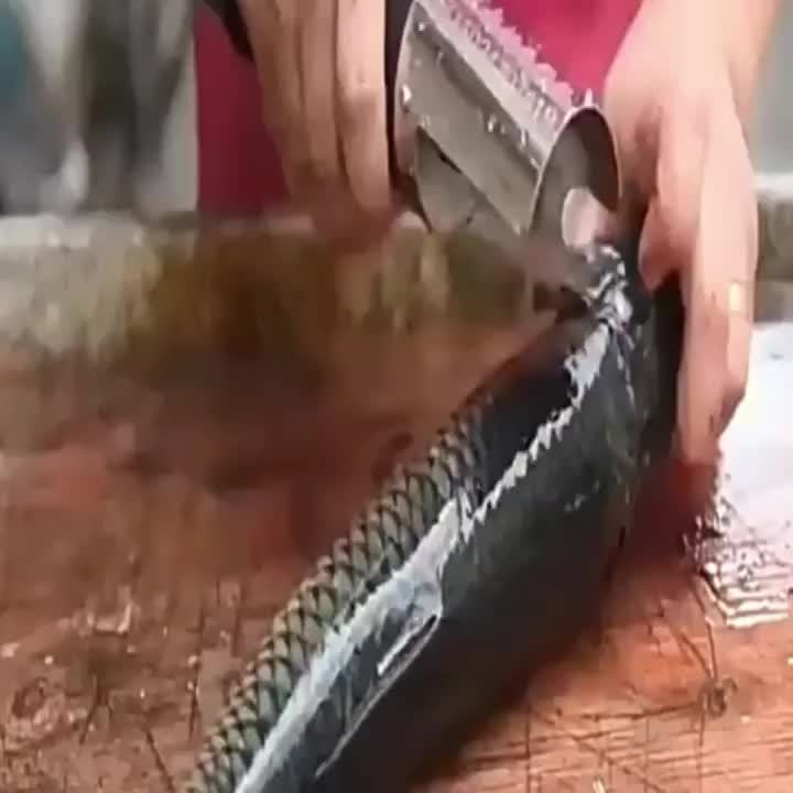 electric kitchen knife, power assisted knife, high quality kitchen knife, kitchenware, cutting tool, V1102-122-12158
