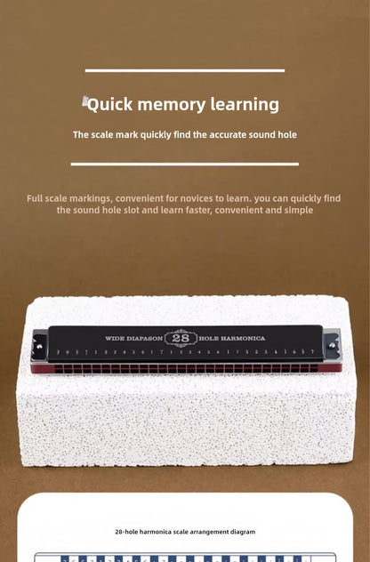 Black 28-hole harmonica, double-row harmonica, professional harmonica, diatonic harmonica, music accessory, V1102-778-BLA-28573