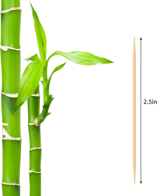 2PS Toothpick Holder with 1000 Count Bamboo Toothpicks for Teeth Cleaning Fruits- Round Double-Pointed Wooden V1102-B0FQNW4B1R