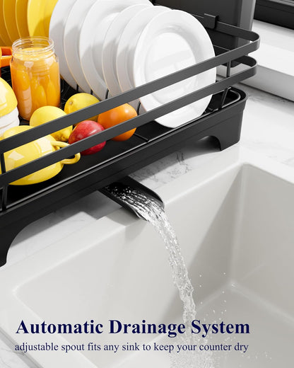Dish Drying Rack - Multi-Functional Dish Rack for Kitchen Counter with Cutlery Holder, Rust-Proof Storage V1102-COLORBLACK