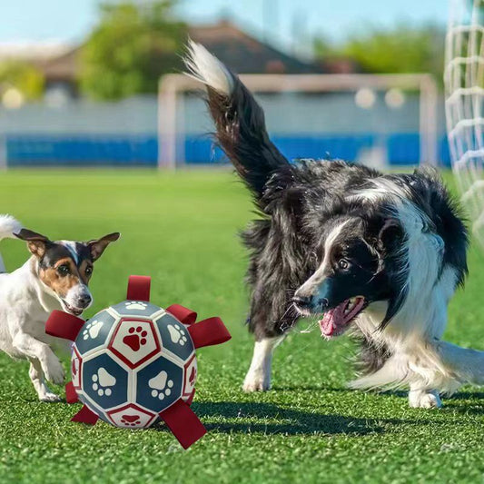 pet products Interactive dog soccer with air pump-heavy rubber tug-of-war toy, with paw print design, V1102-HYCWQ0002