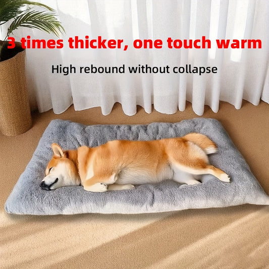 Christmas. A holiday gift for the dog. A warm dog bed in winter. Dog kennel. Dog cage mat. Dog cage mat. V1106-HEGG-003
