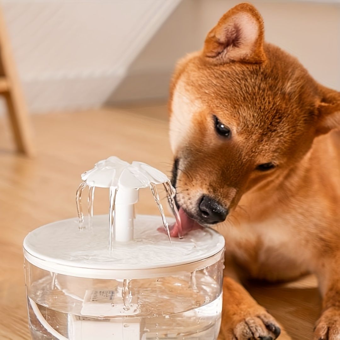 Large capacity cat water fountain, USB low voltage powered automatic pet water feeder, suitable for a variety V1106-HEMM-004