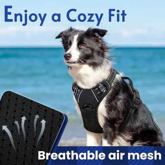 Anti-escape dog harness & leash, soft and comfortable breathable dog vest, reflective in the night, suitable V1106-HEMM-006