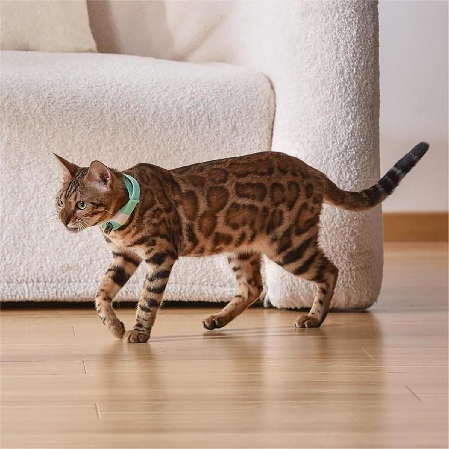 Automatic Laser Cat Collar Toy: Rechargeable Interactive Red Light Toy for Australian Indoor Cats & Kittens V1107-AUTOMATIC LASER CAT COLLAR TOY