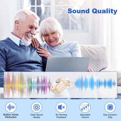 Rechargeable In-the-Ear Hearing Aids with Charging Case and LCD Display - Ultra-Compact Sound Amplifier for V1107-CS-BLCFS