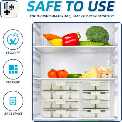 8-Compartment Sealed Snack Organizer with Handle for Fridge, Picnic & Kitchen Storage - BPA-Free Food V1107-CS-CFTLSNH
