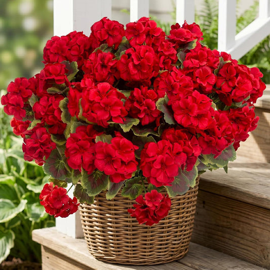 8 Pcs Artificial Red Geranium Silk Flowers for Outdoor Patio Garden & Indoor Home Decor (Red) V1107-CS-FZTZKH