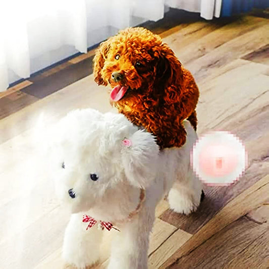Pet Behavioral Support Doll - Realistic Canine Companion Toy for Stress Relief, Made of TPE Silicone & Soft V1107-CS-GGAFWJ25