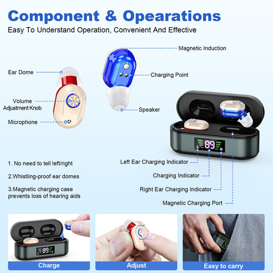Rechargeable In-the-Ear Hearing Aids with Charging Case and LCD Display - Ultra-Compact Sound Amplifier for V1107-CS-HLCHL