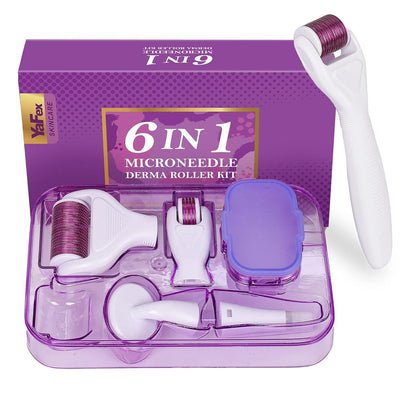 6-in-1 Stainless Steel Derma Roller Kit with 4 Interchangeable Heads, Ergonomic Handle, Clear Storage Case, V1107-CS-LHYGLTZ