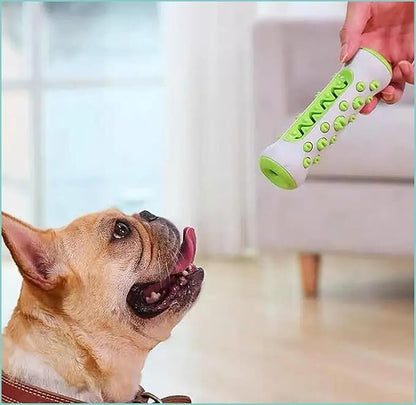 Dog Chew Toy: Durable Nylon & TPR, Teeth Cleaning Bone for Aussie Dogs V1107-DOG CHEW TOY
