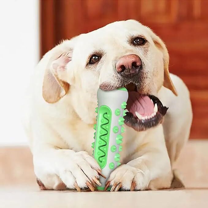 Dog Chew Toy: Durable Nylon & TPR, Teeth Cleaning Bone for Aussie Dogs V1107-DOG CHEW TOY