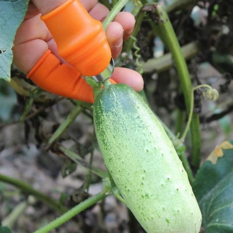 2-Piece Fruit Picking Tool Set for Home Gardens & Small-Scale Farms-Blue+Orange V1107-DSZ-021-001