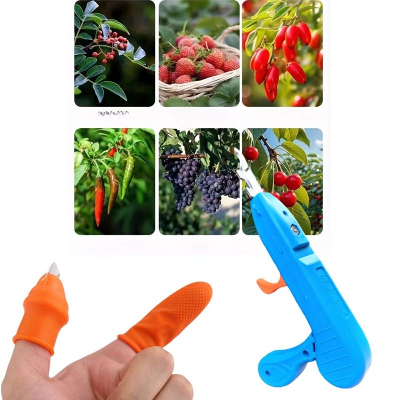 2-Piece Fruit Picking Tool Set for Home Gardens & Small-Scale Farms-Blue+Orange V1107-DSZ-021-001