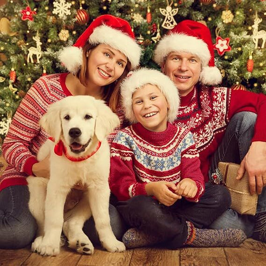 10Pack Christmas Santa Hats for Adults - Extra Thicken Velvet Santa Claus Hats for Women Men Fluffy Plush V1107-SDZC001-10