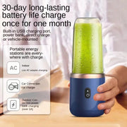 Portable Electric Fruit Juice Blender V1142-1005006814810598-D