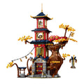 Dragon Energy Temple Building Blocks Model Set V1142-LP1005006199389891