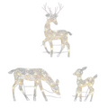Lighted Christmas Deer Reindeer Family With Led Lights V1142-LP1005006211147958