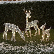 Lighted Christmas Deer Reindeer Family With Led Lights V1142-LP1005006211147958
