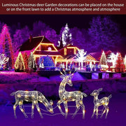 Lighted Christmas Deer Reindeer Family With Led Lights V1142-LP1005006211147958