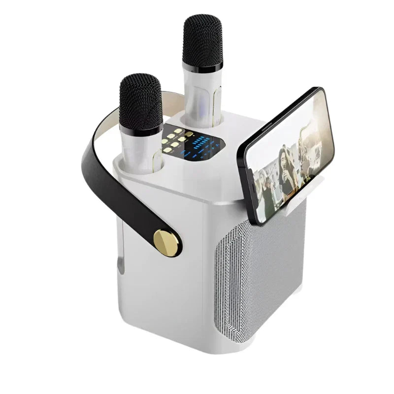 High Power Karaoke Bluetooth Speaker With Dual Microphone V1142-LP1005006966356393