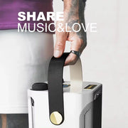 High Power Karaoke Bluetooth Speaker With Dual Microphone V1142-LP1005006966356393