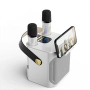 High Power Karaoke Bluetooth Speaker With Dual Microphone V1142-LP1005006966356393
