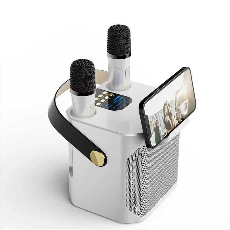 High Power Karaoke Bluetooth Speaker With Dual Microphone V1142-LP1005006966356393